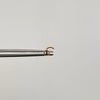 Piercing Nariz Corona