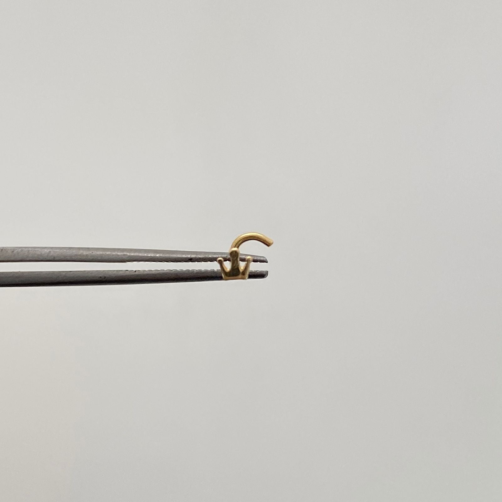 Piercing Nariz Corona