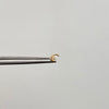 Piercing Nariz Ancla