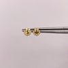 Topos Circulo circones blanco y moño Oro amarillo 18k 0,8 Gr / 6,4 mm